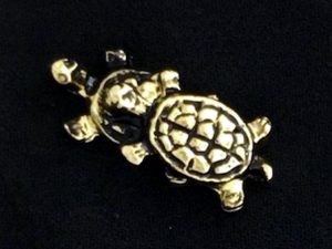 Order of Turtles Double Lapel Pin